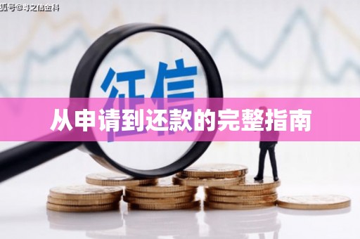 双桥从申请到还款的完整指南