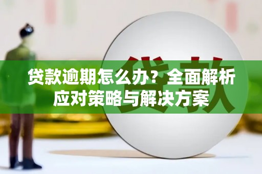 南充贷款逾期怎么办？全面解析应对策略与解决方案