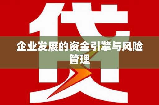 雨山企业发展的资金引擎与风险管理