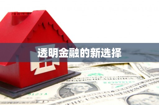 隆回透明金融的新选择