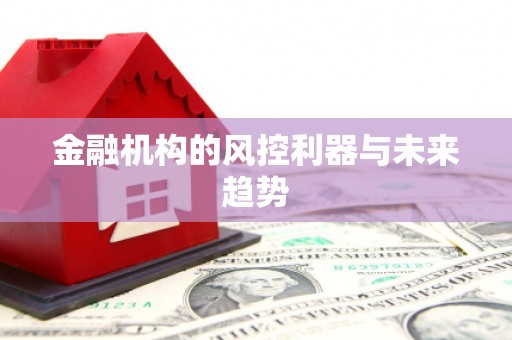 白朗金融机构的风控利器与未来趋势