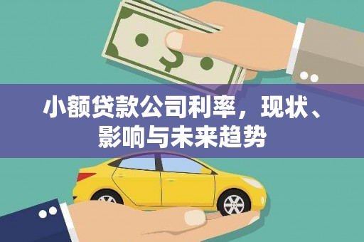 三穗小额贷款公司利率，现状、影响与未来趋势
