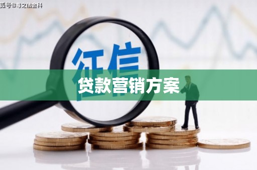 阆中贷款营销方案