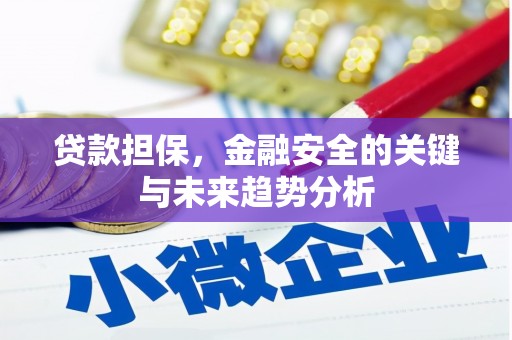 伊通贷款担保，金融安全的关键与未来趋势分析