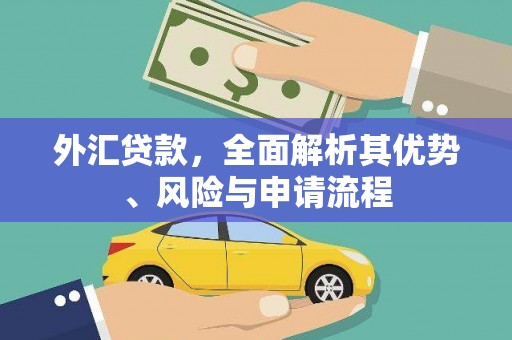 邹平外汇贷款，全面解析其优势、风险与申请流程