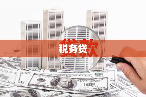茂林税务贷