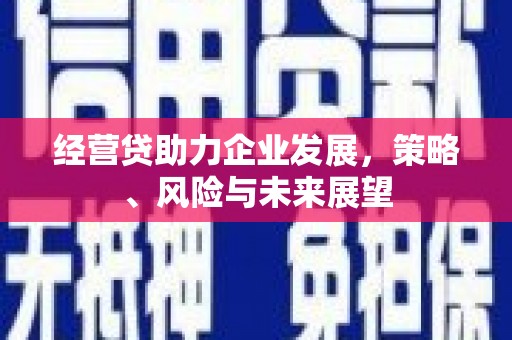 始兴经营贷助力企业发展，策略、风险与未来展望