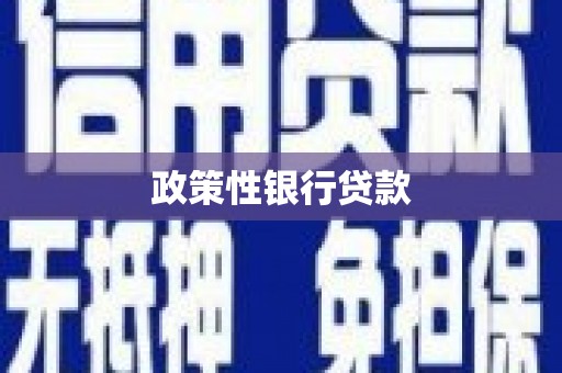 龙胜政策性银行贷款