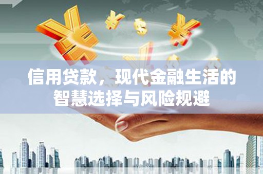 镇原信用贷款，现代金融生活的智慧选择与风险规避