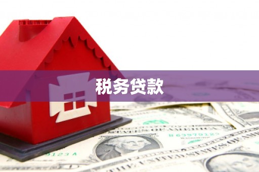 抚远税务贷款