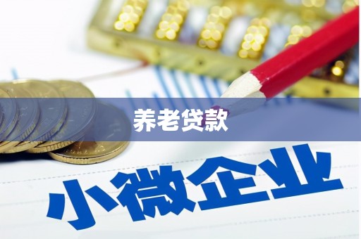 镇康养老贷款