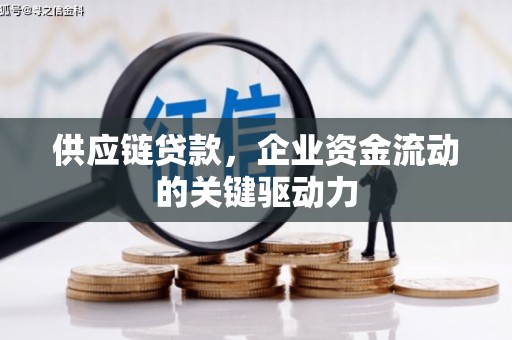 金阳供应链贷款，企业资金流动的关键驱动力