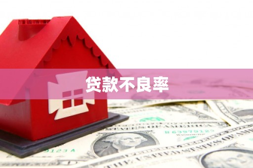 青河贷款不良率