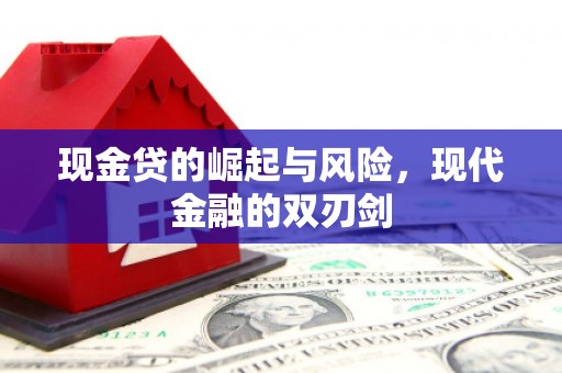 新店现金贷的崛起与风险，现代金融的双刃剑