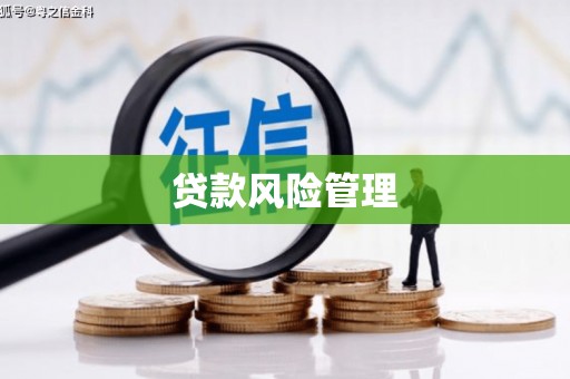 瑞芳贷款风险管理