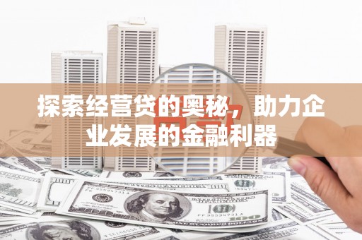 海兴探索经营贷的奥秘，助力企业发展的金融利器