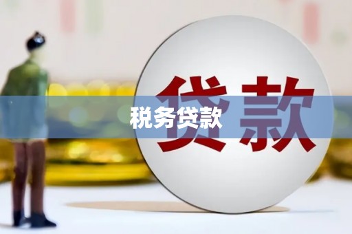 港闸税务贷款
