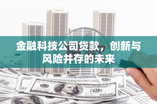 芙蓉金融科技公司贷款，创新与风险并存的未来