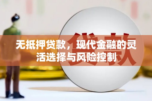 从化无抵押贷款，现代金融的灵活选择与风险控制