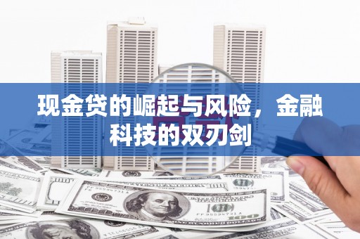山阴现金贷的崛起与风险，金融科技的双刃剑