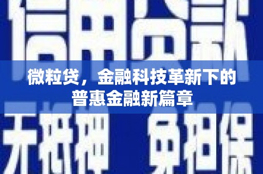阳东微粒贷，金融科技革新下的普惠金融新篇章
