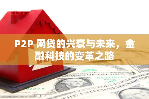 阜康P2P 网贷的兴衰与未来，金融科技的变革之路
