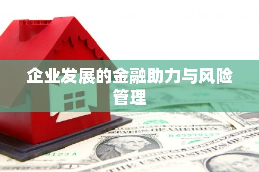 镇远企业发展的金融助力与风险管理