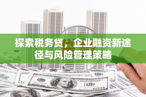 开福探索税务贷，企业融资新途径与风险管理策略