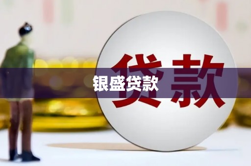 新河银盛贷款