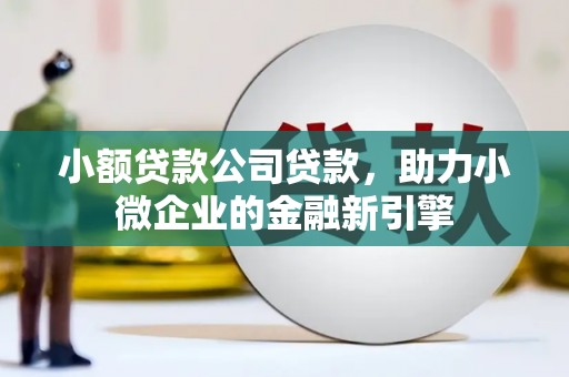 静海小额贷款公司贷款，助力小微企业的金融新引擎