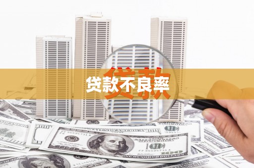 南充贷款不良率