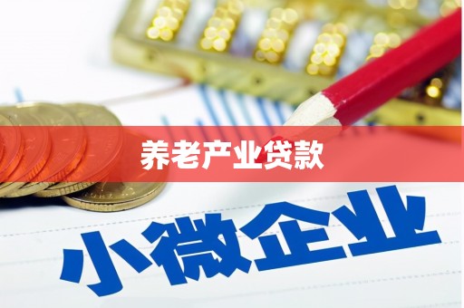 囊谦养老产业贷款