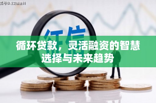 芬园循环贷款，灵活融资的智慧选择与未来趋势