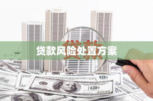 蒸湘贷款风险处置方案