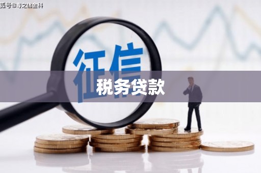 海盐税务贷款