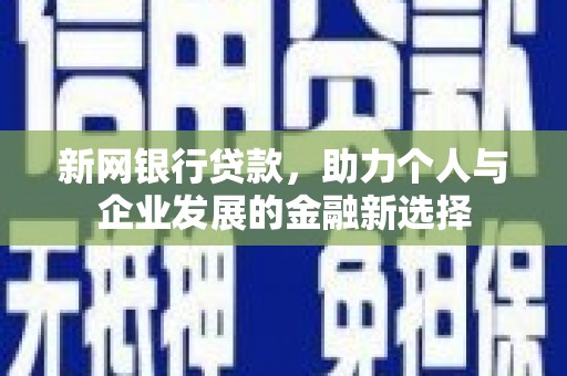 巴青新网银行贷款，助力个人与企业发展的金融新选择
