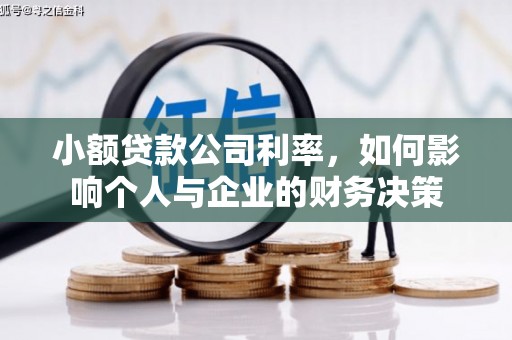 青白江小额贷款公司利率，如何影响个人与企业的财务决策