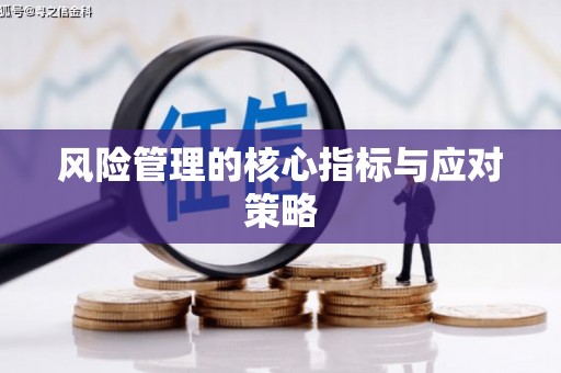 平顶山风险管理的核心指标与应对策略
