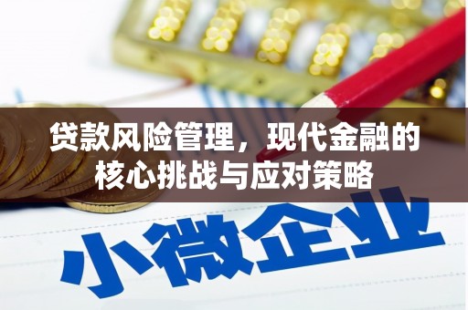 南庄贷款风险管理，现代金融的核心挑战与应对策略