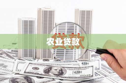 金山农业贷款