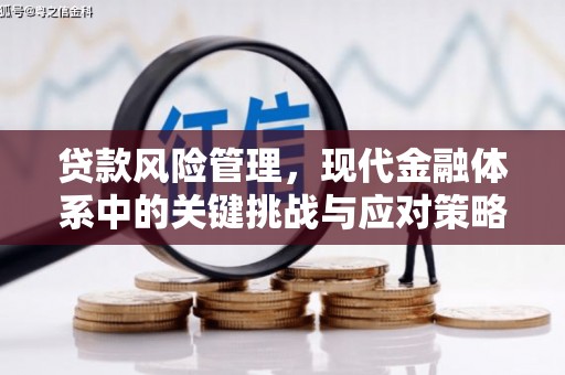 安泽贷款风险管理，现代金融体系中的关键挑战与应对策略