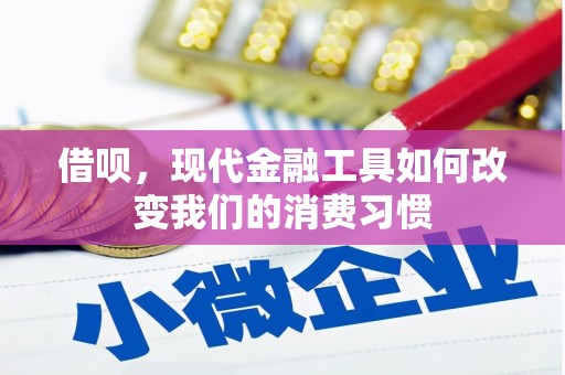 儋州借呗，现代金融工具如何改变我们的消费习惯