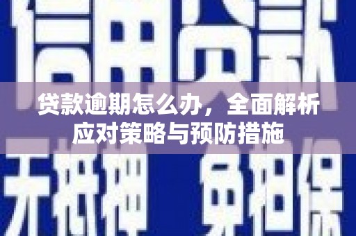 沙田贷款逾期怎么办，全面解析应对策略与预防措施