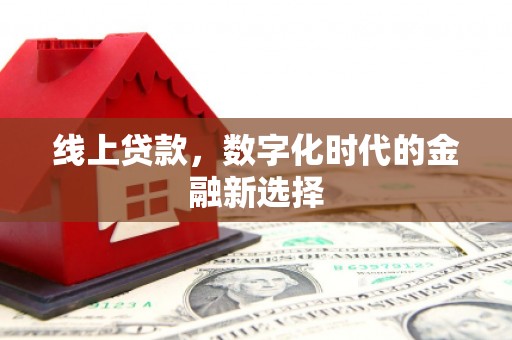 施甸线上贷款，数字化时代的金融新选择