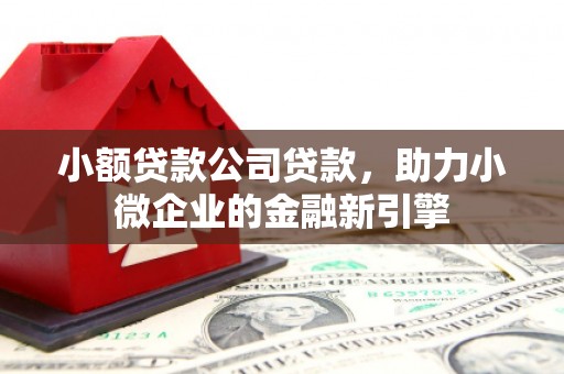 赵县小额贷款公司贷款，助力小微企业的金融新引擎
