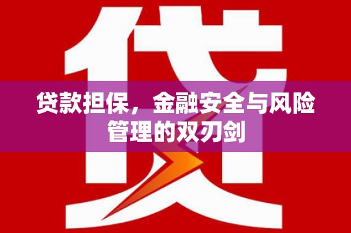 黑水贷款担保，金融安全与风险管理的双刃剑