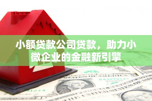 鸡东小额贷款公司贷款，助力小微企业的金融新引擎