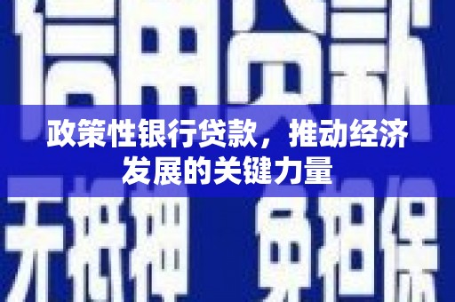 三湾政策性银行贷款，推动经济发展的关键力量