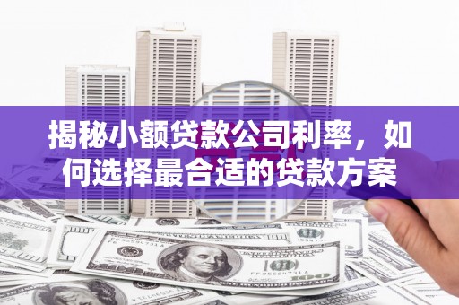 德格揭秘小额贷款公司利率，如何选择最合适的贷款方案