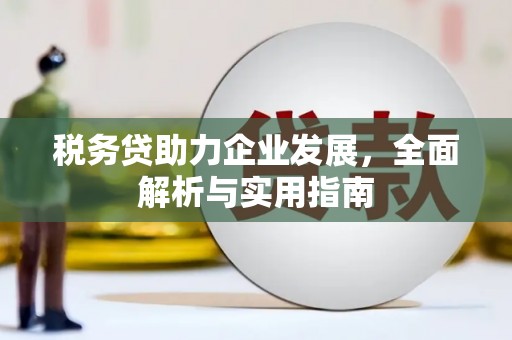 玛纳斯税务贷助力企业发展，全面解析与实用指南